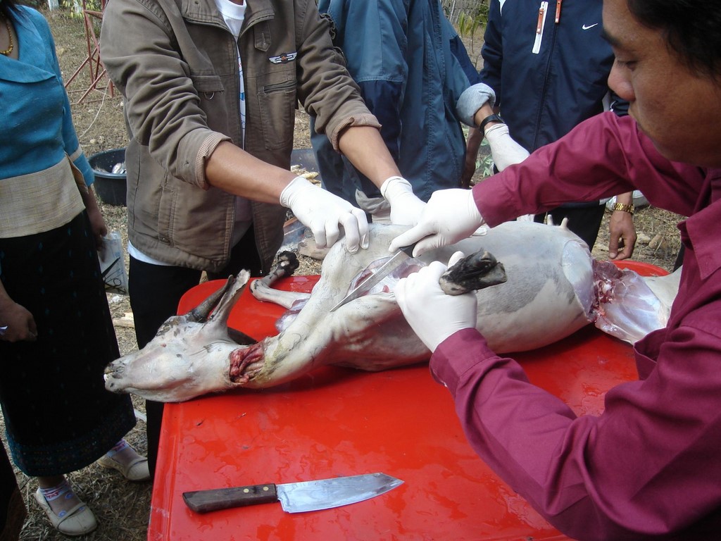 meat inspection training