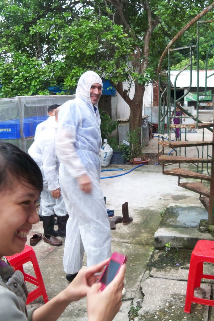 Bio security in pig farm