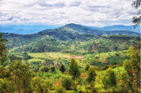 Green hills of Rwanda